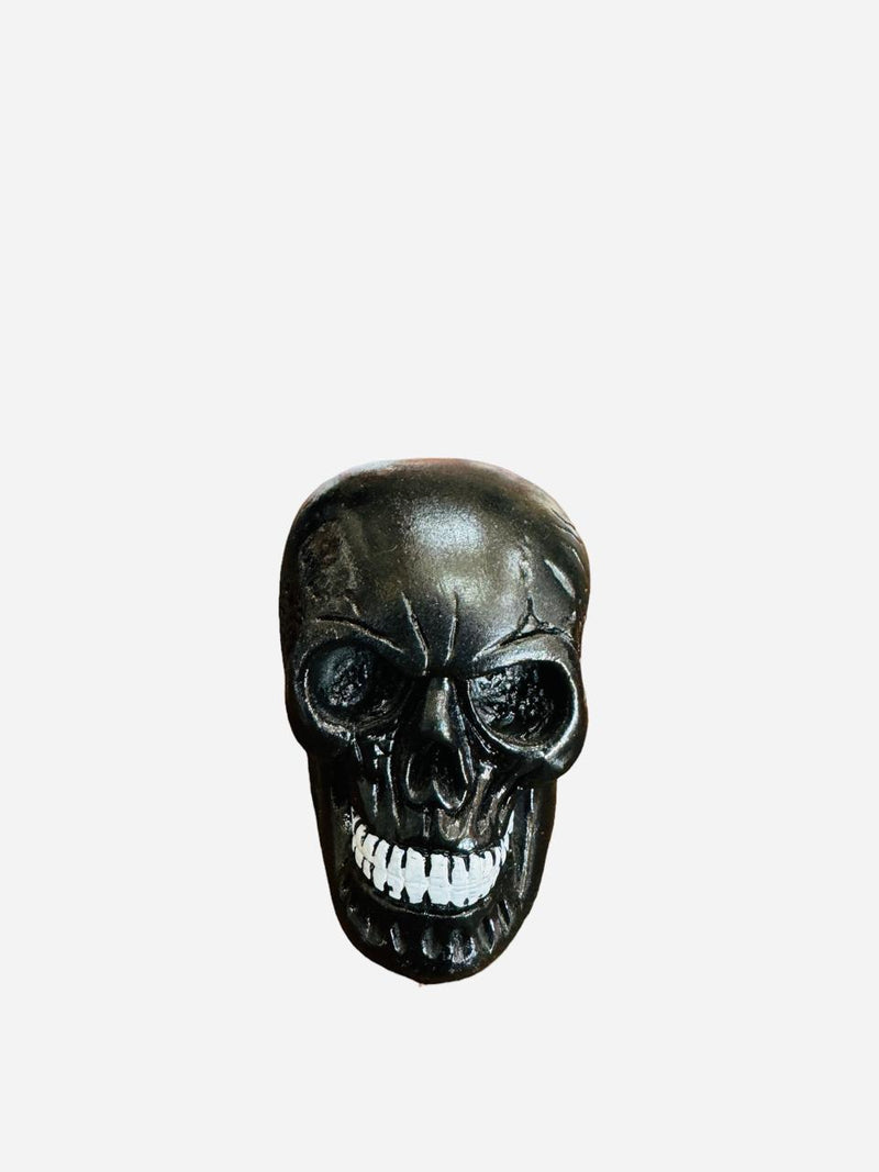 Caveira preta de gesso